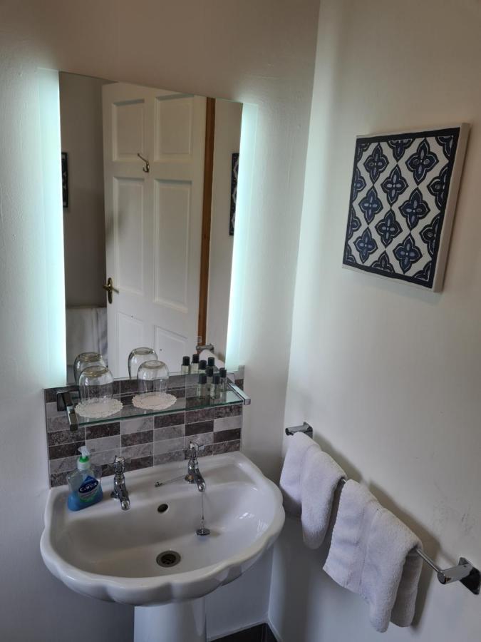 Shannonbridge Ely House B&B المظهر الخارجي الصورة