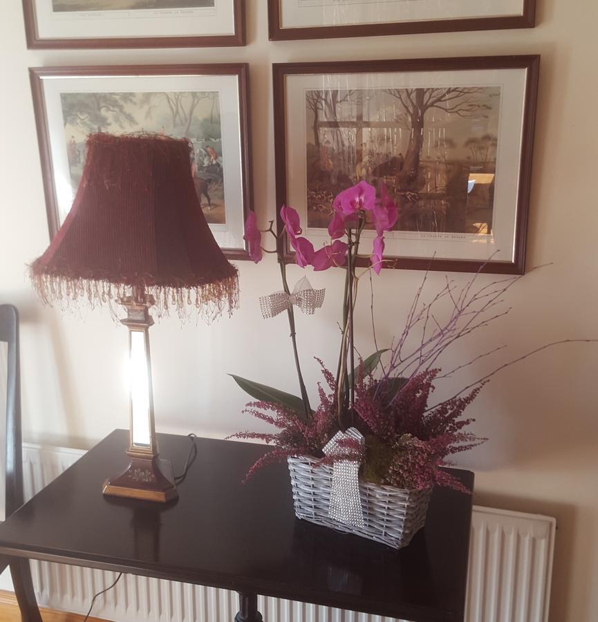 Shannonbridge Ely House B&B المظهر الخارجي الصورة