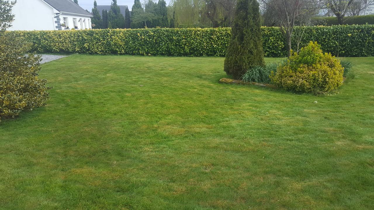 Shannonbridge Ely House B&B المظهر الخارجي الصورة
