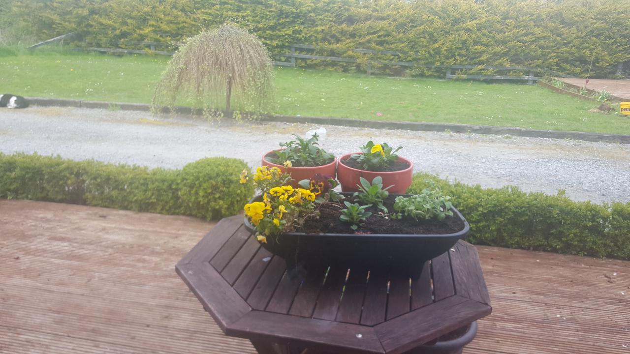 Shannonbridge Ely House B&B المظهر الخارجي الصورة