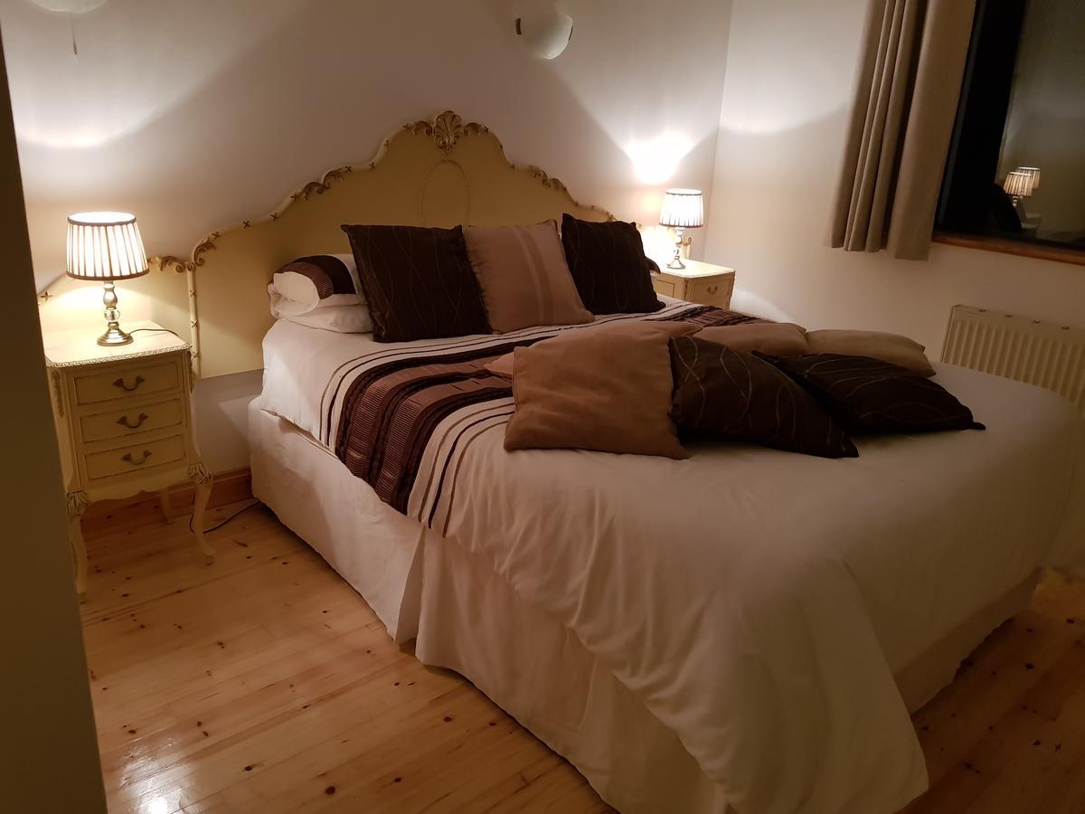 Shannonbridge Ely House B&B المظهر الخارجي الصورة