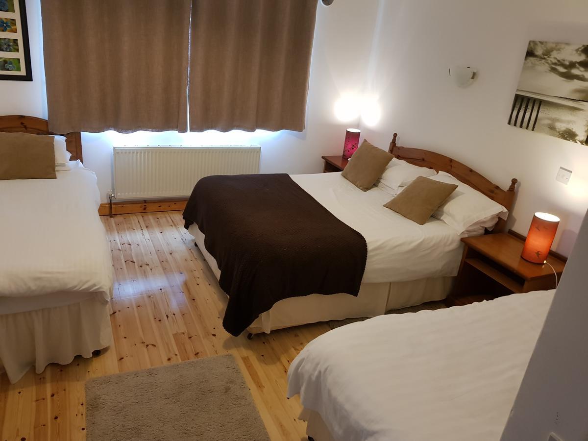 Shannonbridge Ely House B&B المظهر الخارجي الصورة